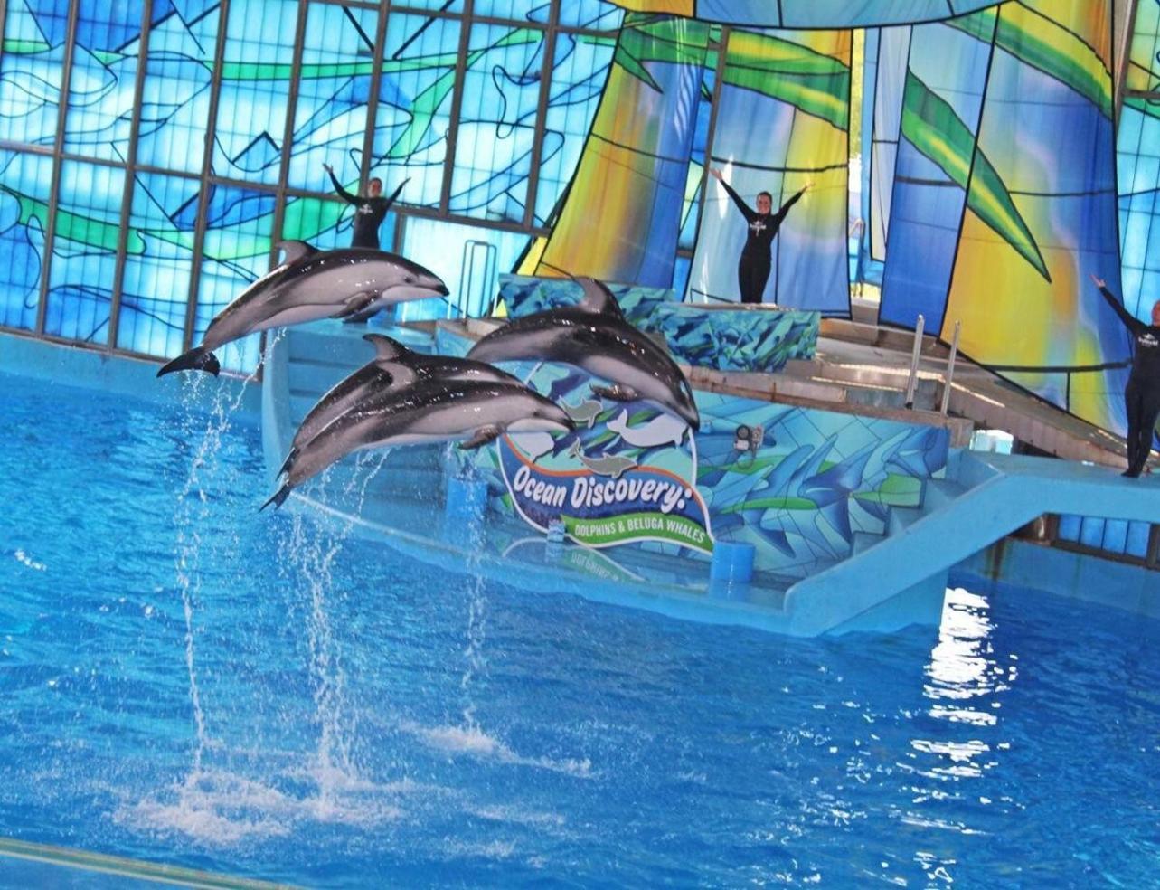 Gameroom, Bbq & Hot-Tub By Lackland & Seaworld San Antonio Eksteriør bilde